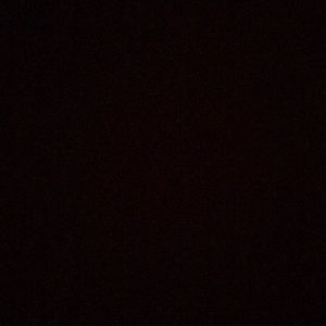 Meet your Posher, Sophia